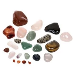 Disney Hobby Rock Tumbler – National Geographic -Deals girls Store unnamed file 1056