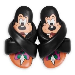 Disney Goofy Slides For Adults